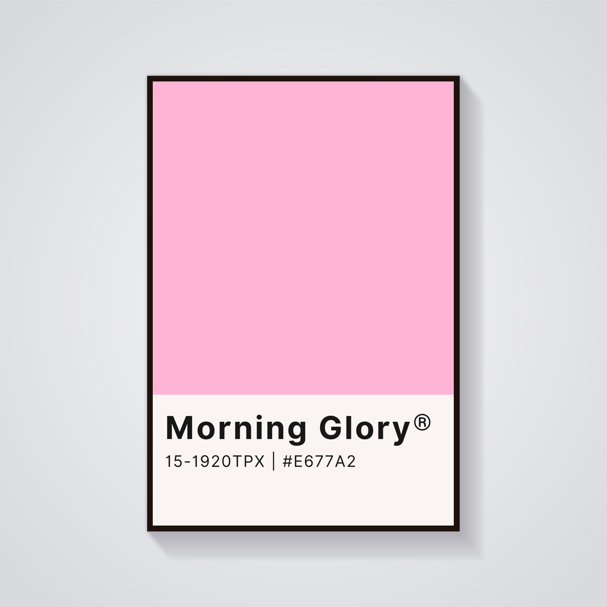 Morning Glory Pink Poster