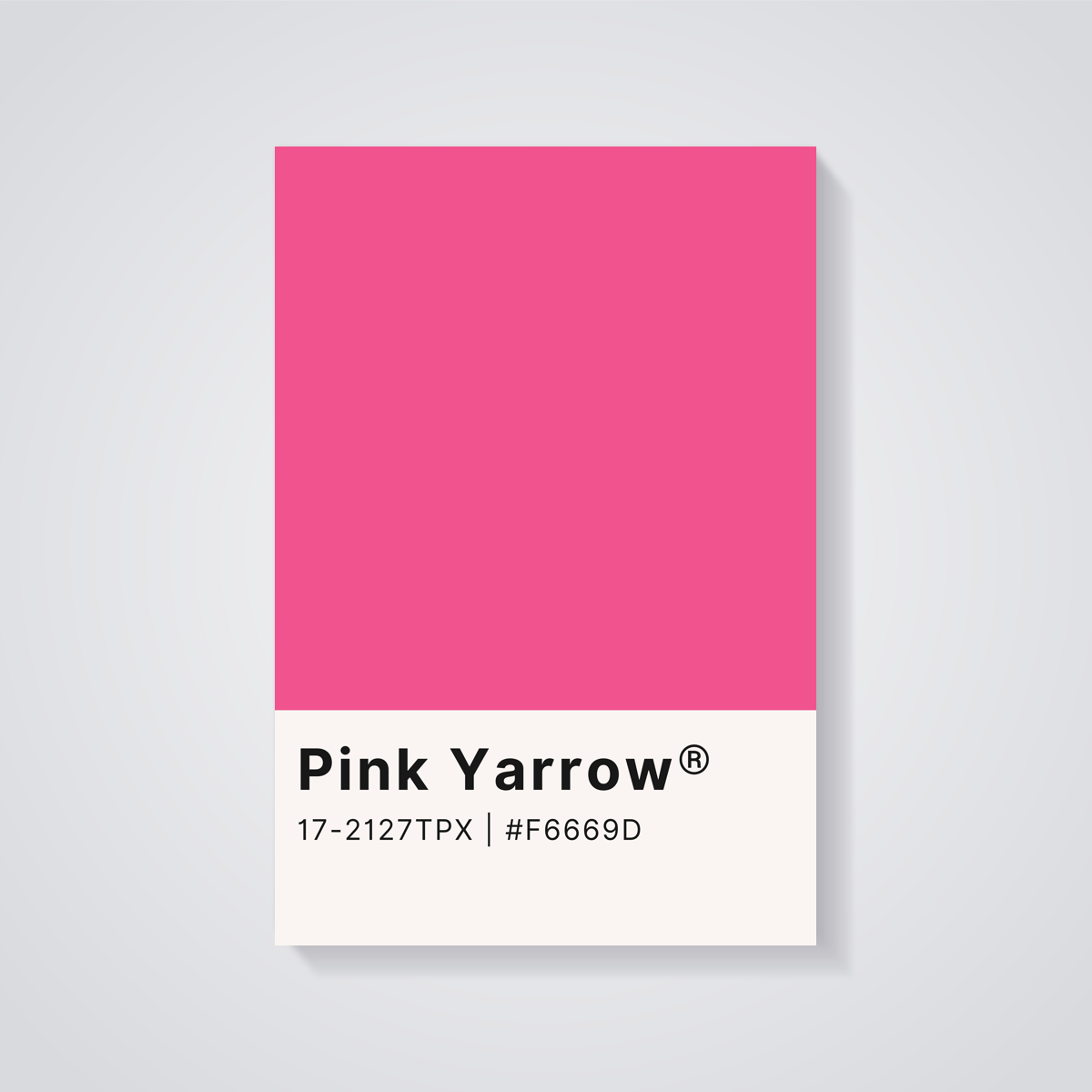 Pink Yarrow Color Poster