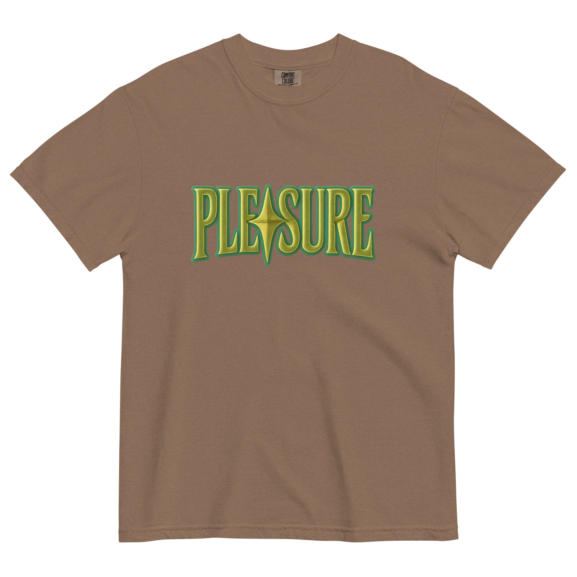 Pleasure Graphic Heavyweight T-Shirt