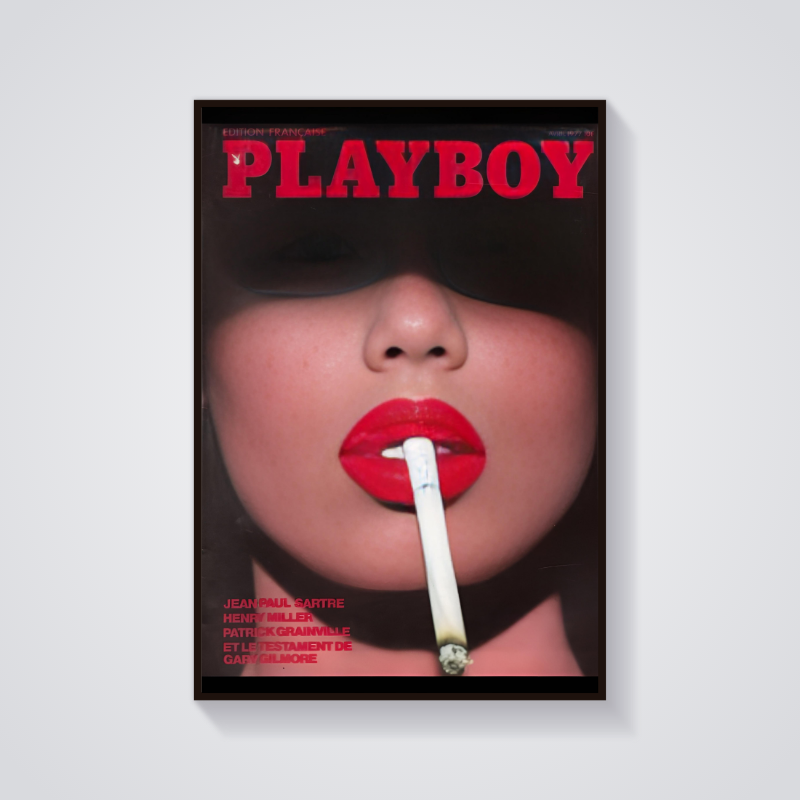 Y2K 1977 Playboy Poster