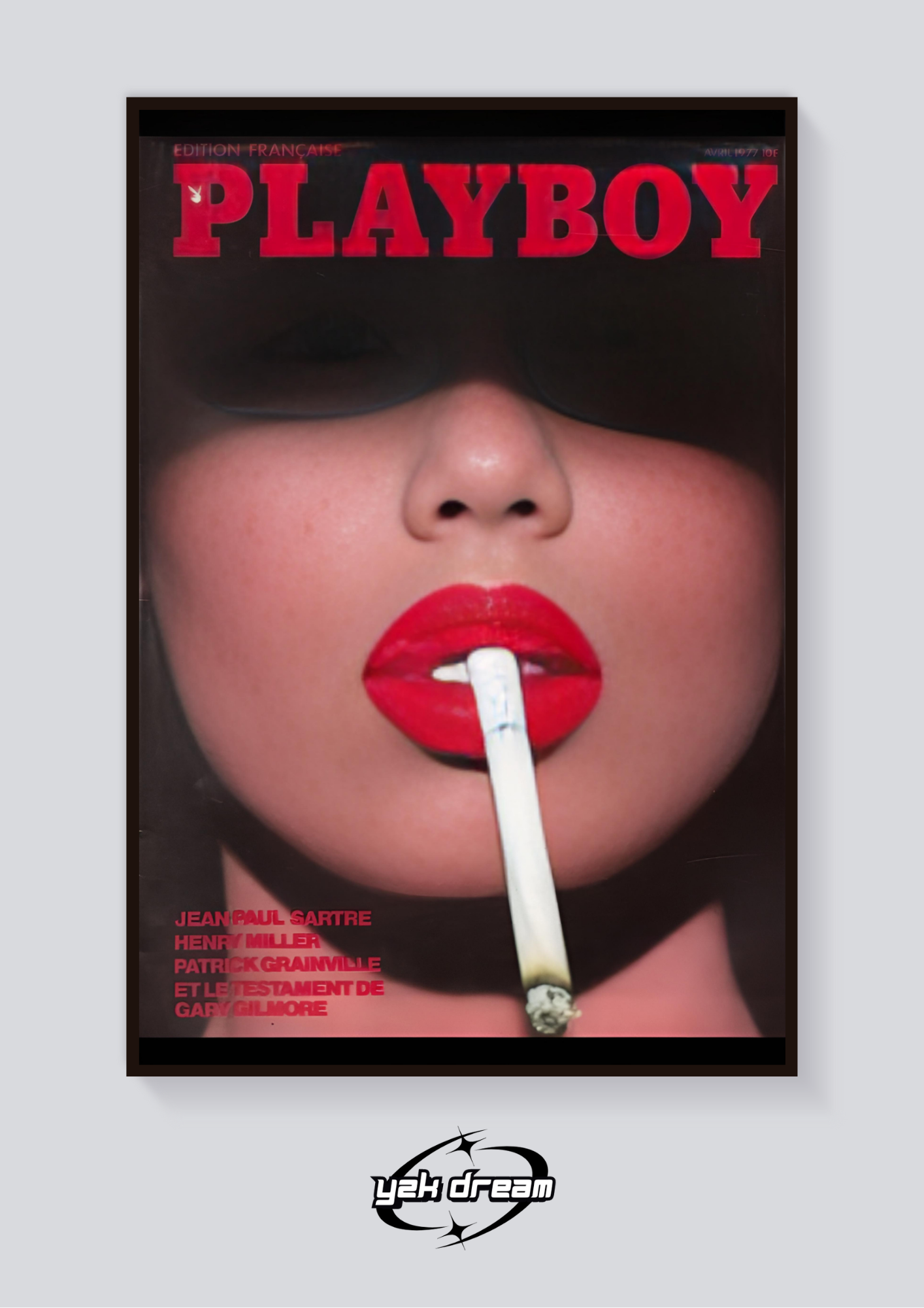 Y2K 1977 Playboy Poster