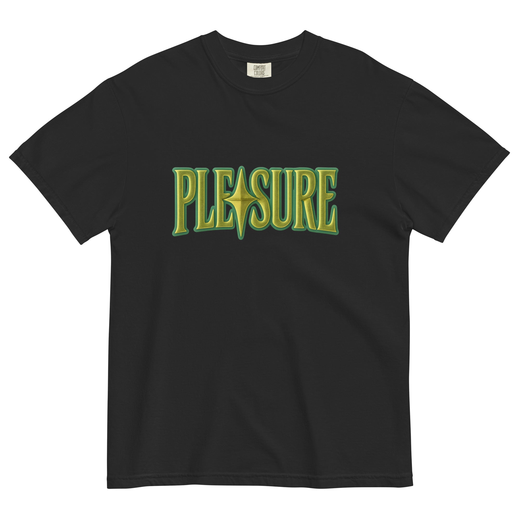 Pleasure Graphic Heavyweight T-Shirt
