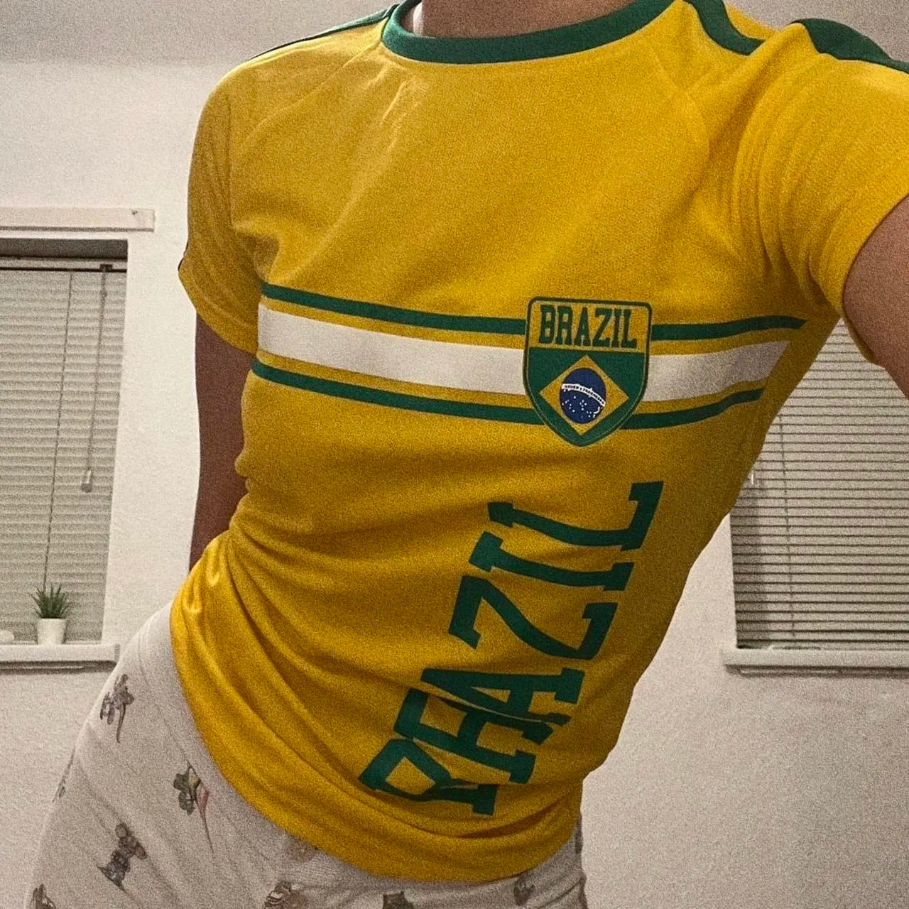 Y2k Brazil zip up