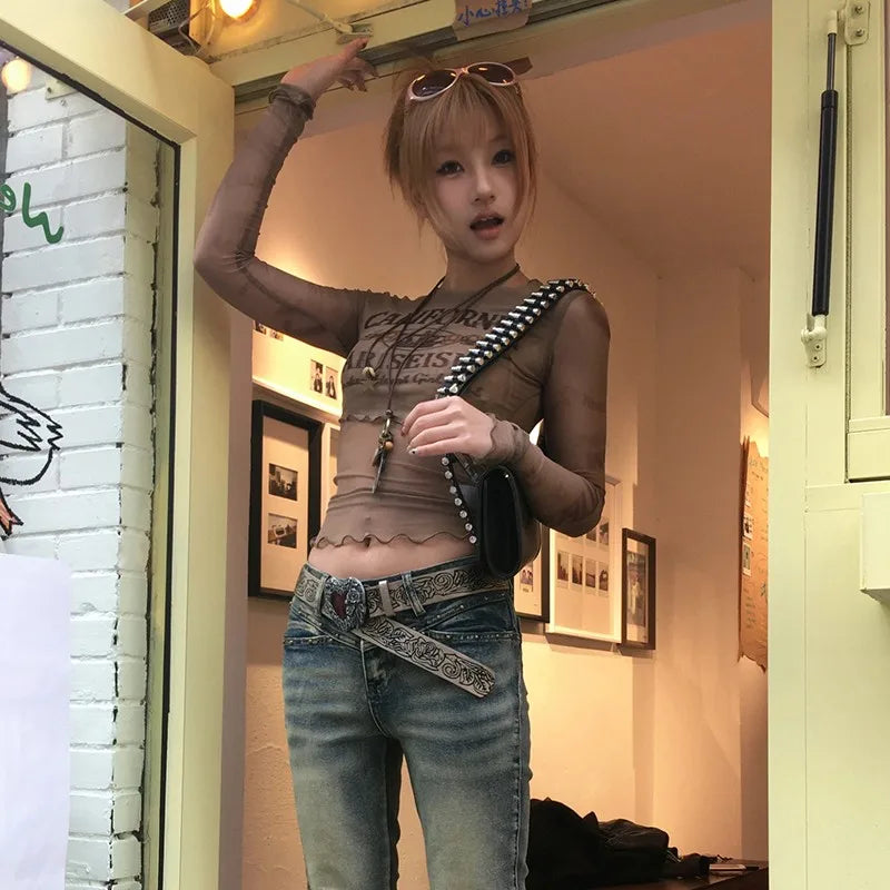 Y2K Brown Sheer Mesh Long Sleeve Top